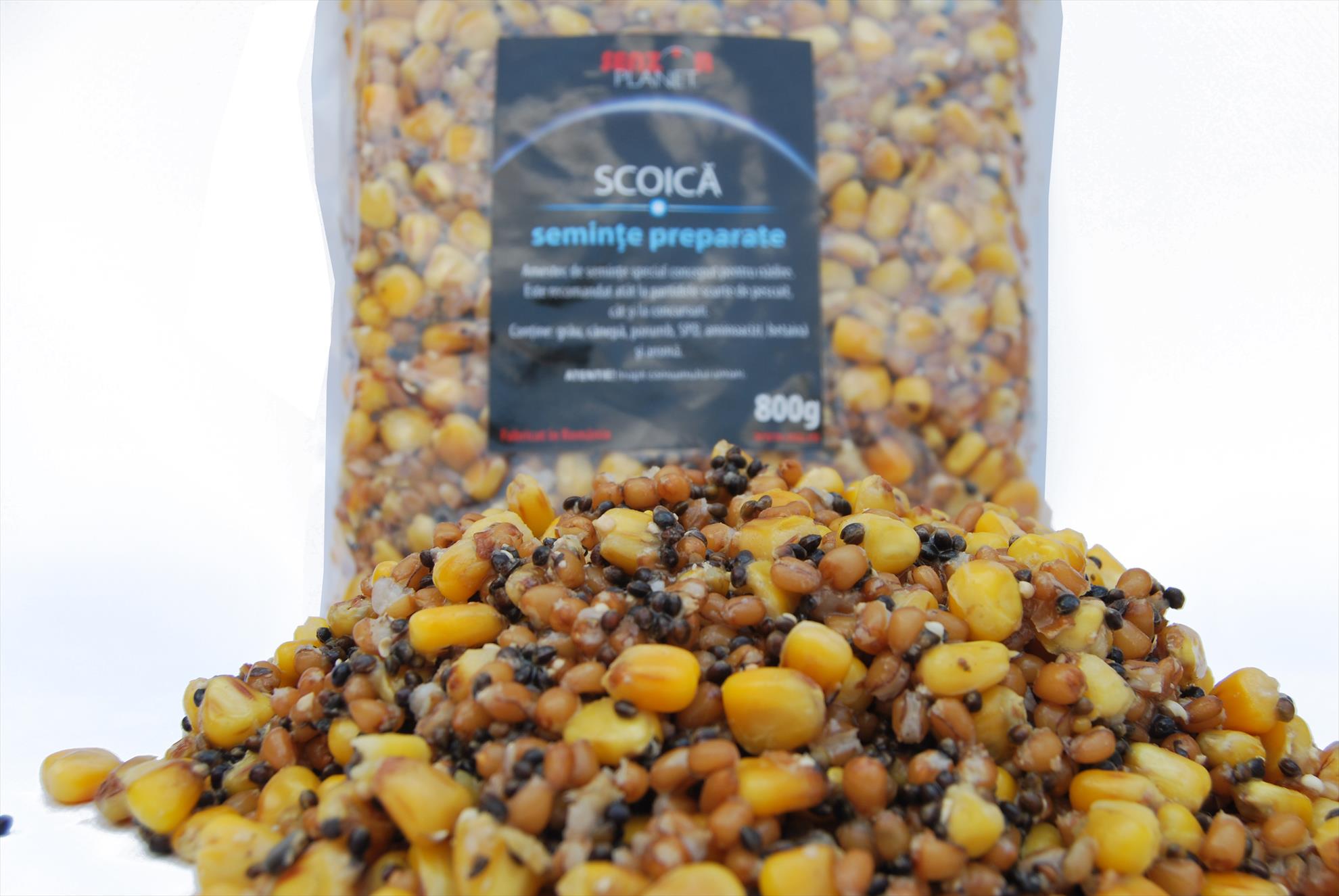 AUGUST 2013 - snz-103.jpg